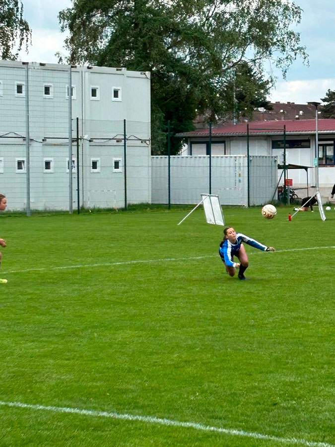 faustball 5